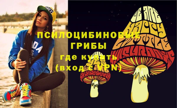 скорость Бронницы