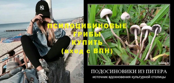 скорость Бронницы