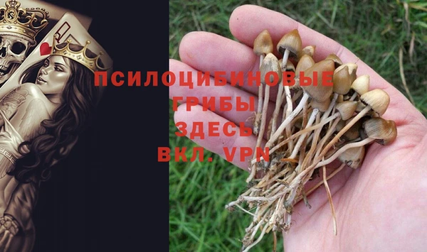 сатива Бугульма