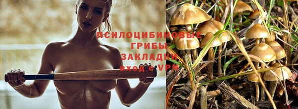 скорость Бронницы