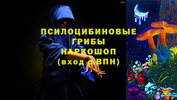 сатива Бугульма