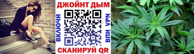 kraken ССЫЛКА  Новопавловск  мориарти как зайти  МАРИХУАНА сатива 